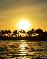 Brejo Grande River Brazil